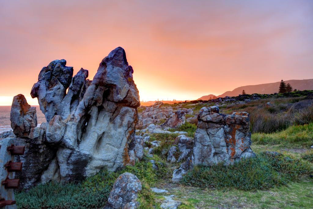 Abalone Guest Lodge Hermanus Eksteriør bilde